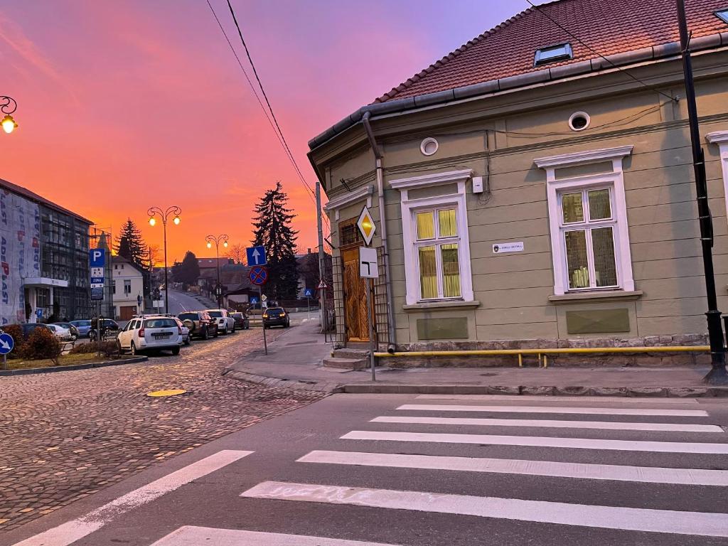 un passaggio pedonale di fronte a un edificio su una strada di Guest House Hena a Sfântu-Gheorghe