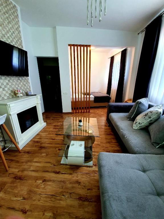 Laura Apartments Sinaia - Studio