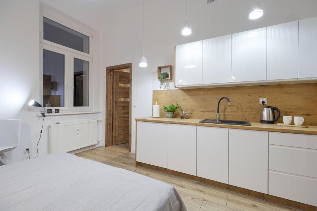 Kuchyňa alebo kuchynka v ubytovaní Niron Apartament Dom z Papieru Tokio