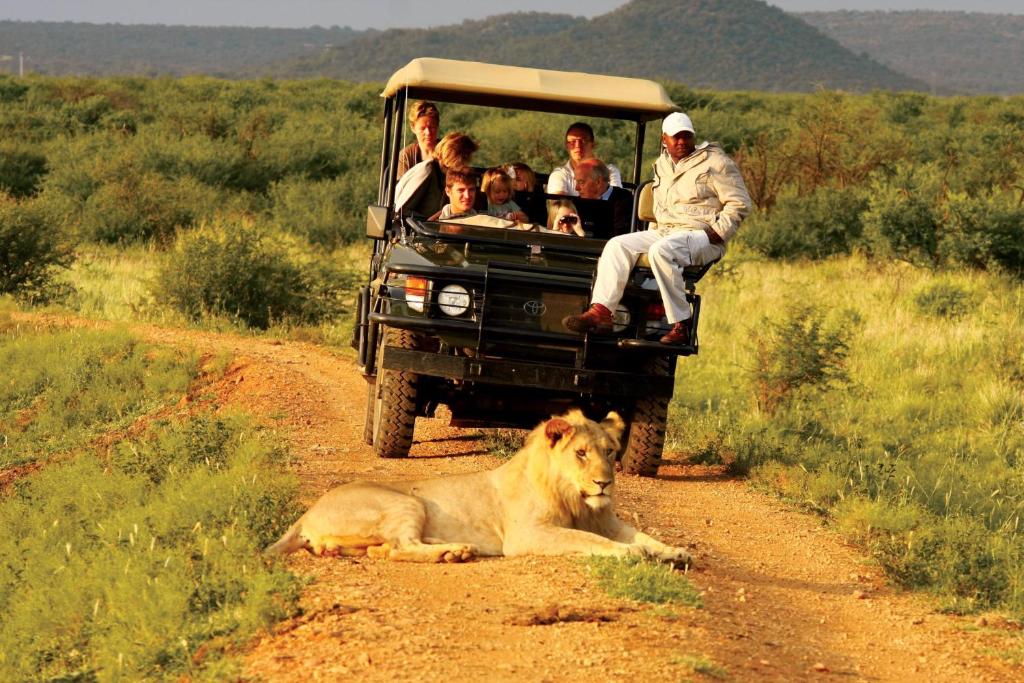 Hosté ubytování Madikwe Hills Private Game Lodge