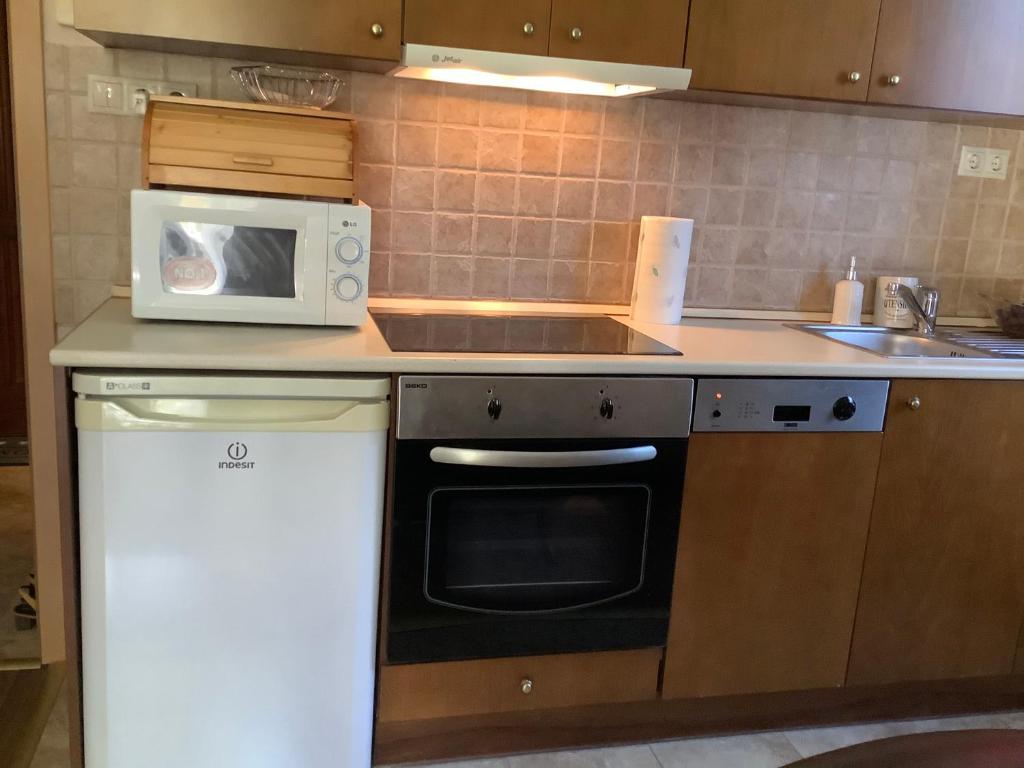 A kitchen or kitchenette at Apartman Golf Lux