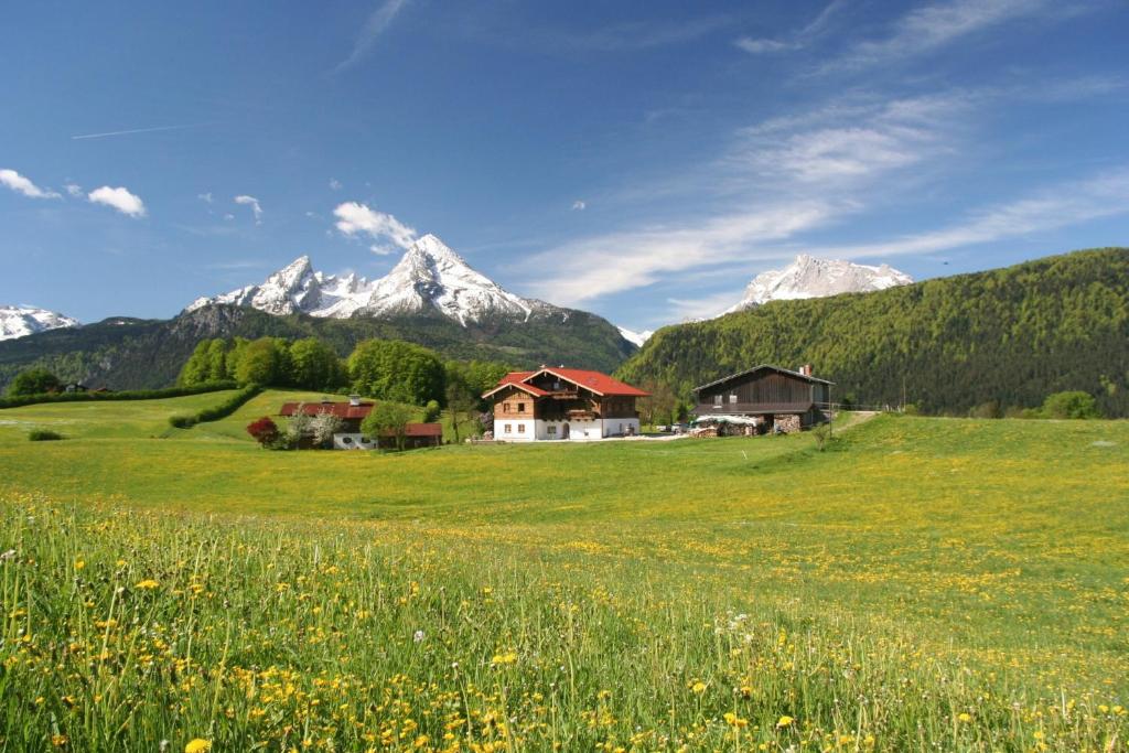 a green field with houses and mountains in the background at Oberreitlehen in Bischofswiesen