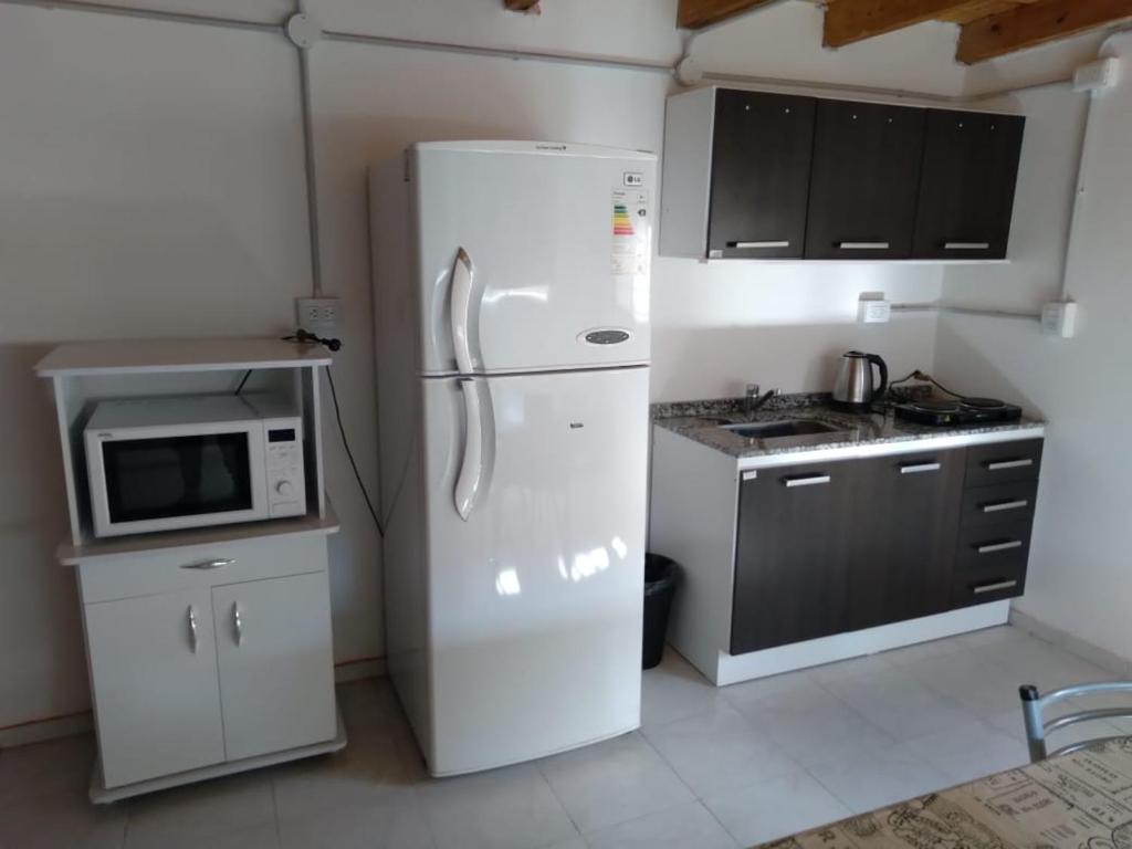La cocina está equipada con nevera blanca y microondas. en Duplex Chacabuco en San Fernando del Valle de Catamarca