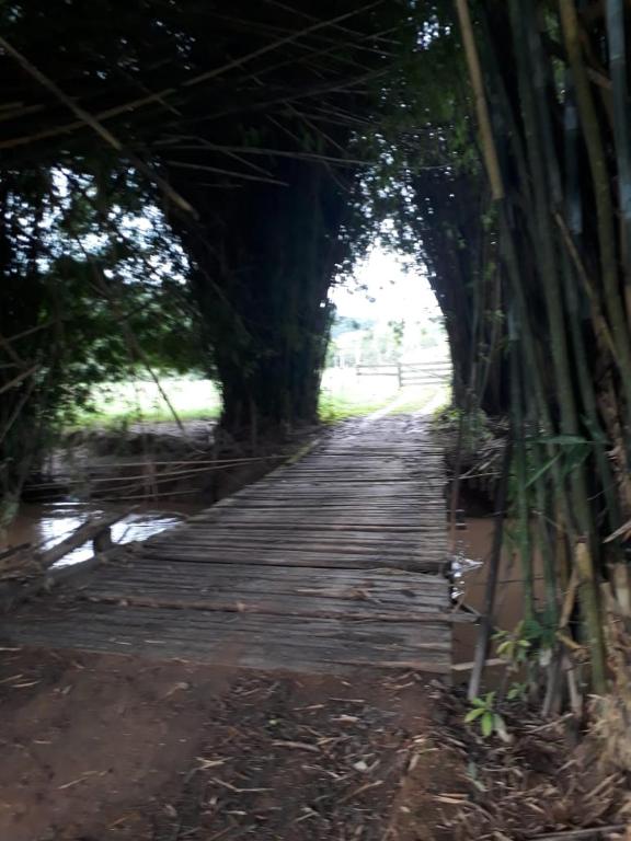  Sítio Campo Grande Cunha SP