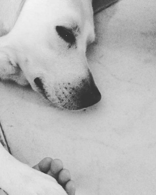 Albergo Labotte - 18