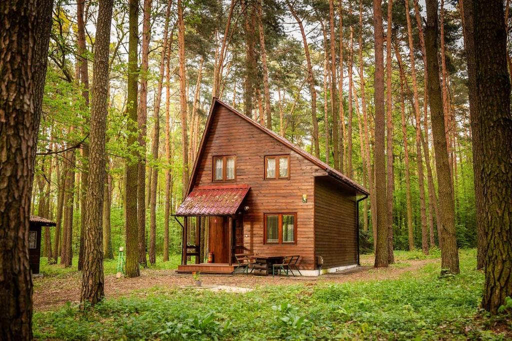 una pequeña cabaña en medio de un bosque en AURA Grotniki, 