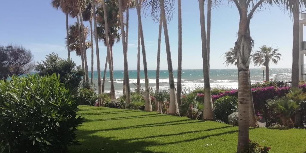 a lawn with palm trees and the beach at Espectacular apartamento primera linea de playa in Sitio de Calahonda