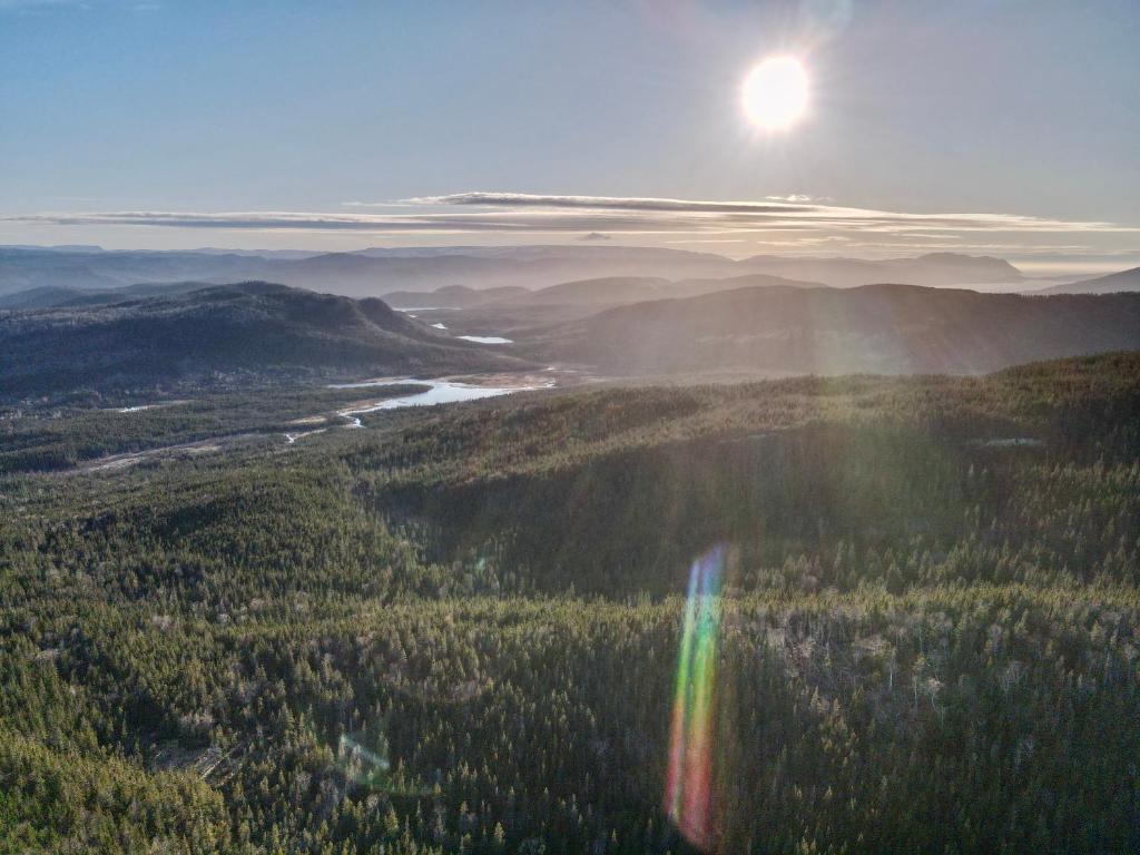 un arc-en-ciel au milieu d'une vallée plantée d'arbres dans l'établissement Bonne Bay Cottages, à Bonne Bay Pond