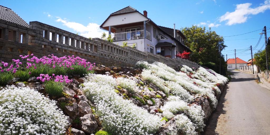 een tuin met witte bloemen voor een gebouw bij Szabó Vendégház in Villány