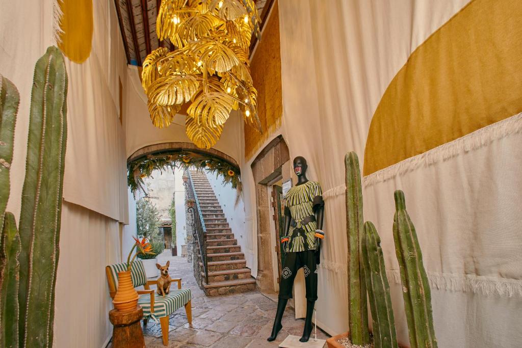 Fotografie z fotogalerie ubytování Mesón Hidalgo v destinaci San Miguel de Allende