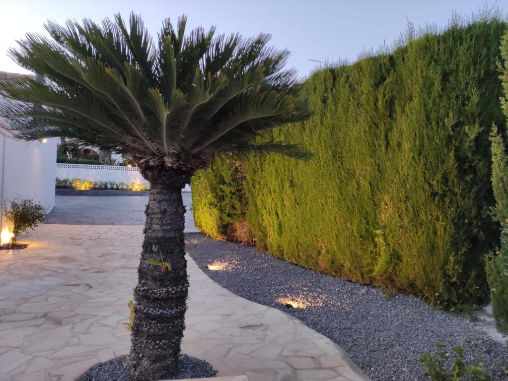 Zahrada ubytování Villa Ana