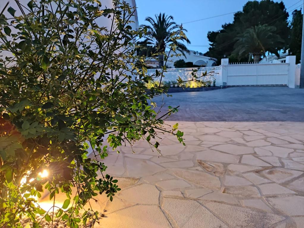 Zahrada ubytování Villa Ana