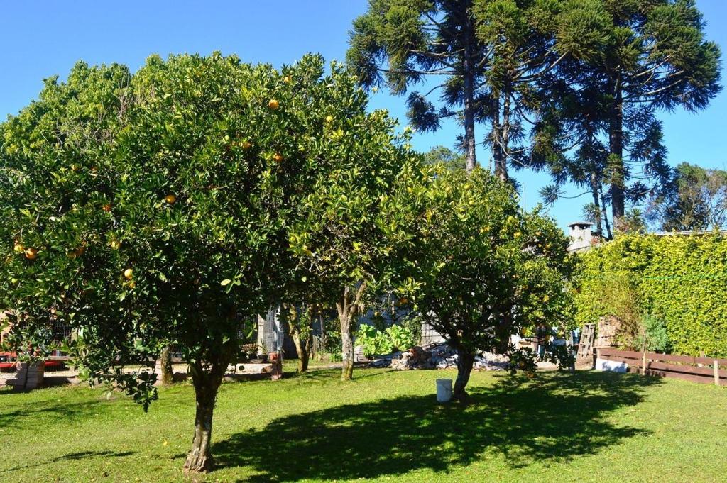 Loft Romântico em Gramado  Loft Romântico em Gramado