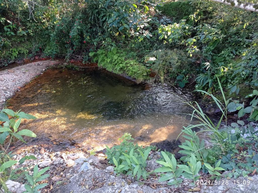  Sossego e muita natureza!