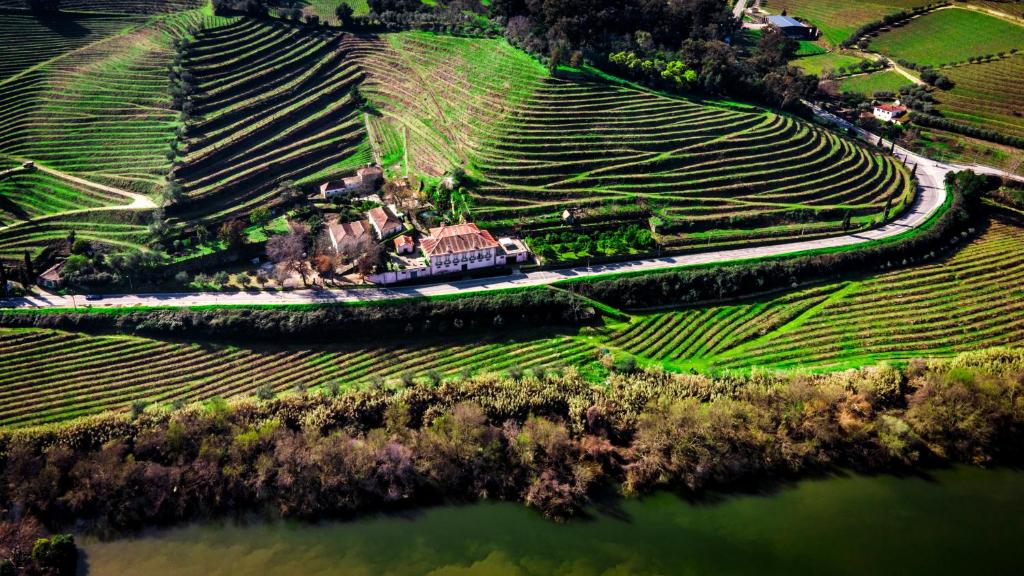 una vista aerea su un vigneto e una casa su una collina con un lago di Casa Dos Varais, Manor House a Lamego