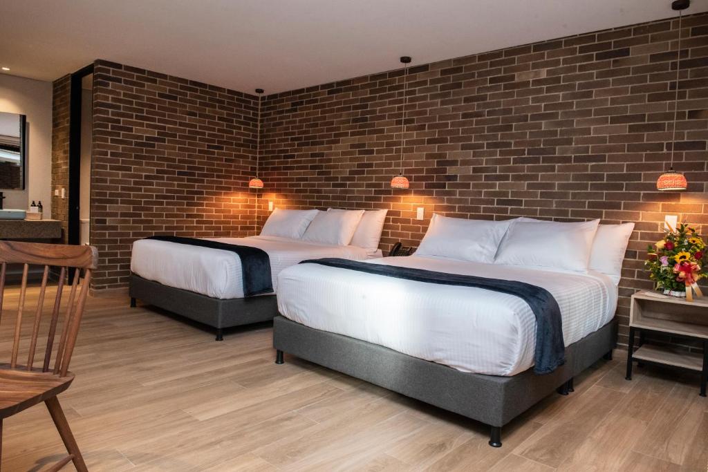 Casa Rose Hotel - 四倍房间