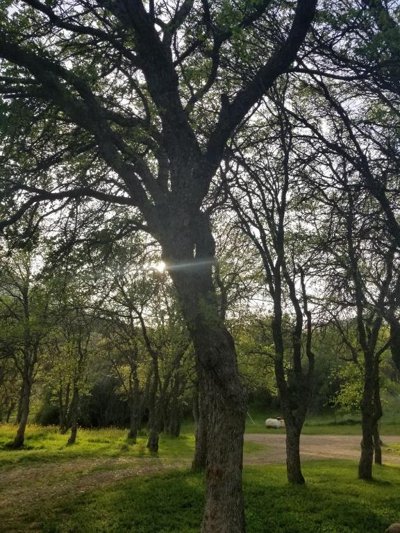 Příroda nedaleko venkovského domu