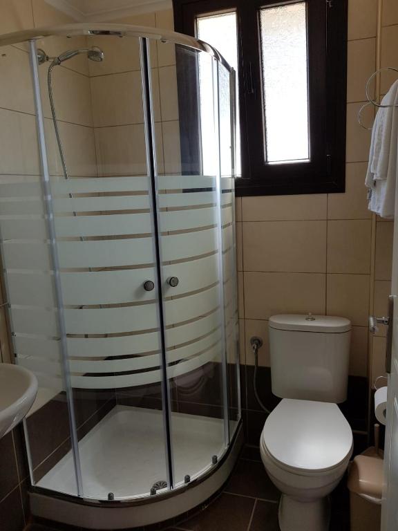 ein Bad mit einer Dusche und einem WC in der Unterkunft To Portego tis Anatolis in Néa Péramos
