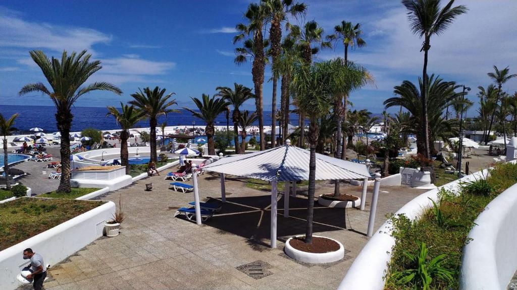 Fotografia z galérie ubytovania Fantastico 2 - with large balcony, terrace and garden v destinácii Puerto de la Cruz