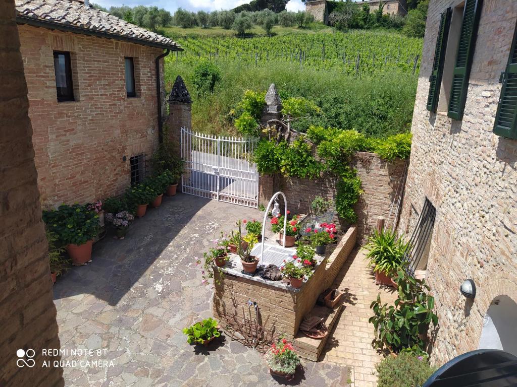 A garden outside Vignano40