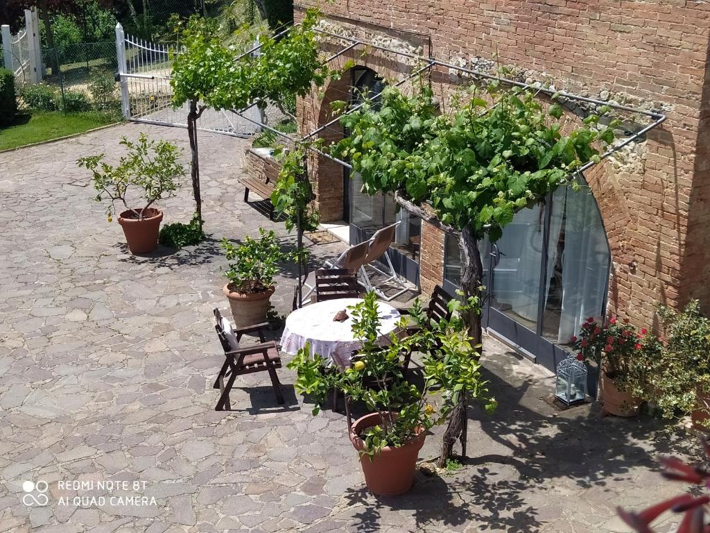A garden outside Vignano40