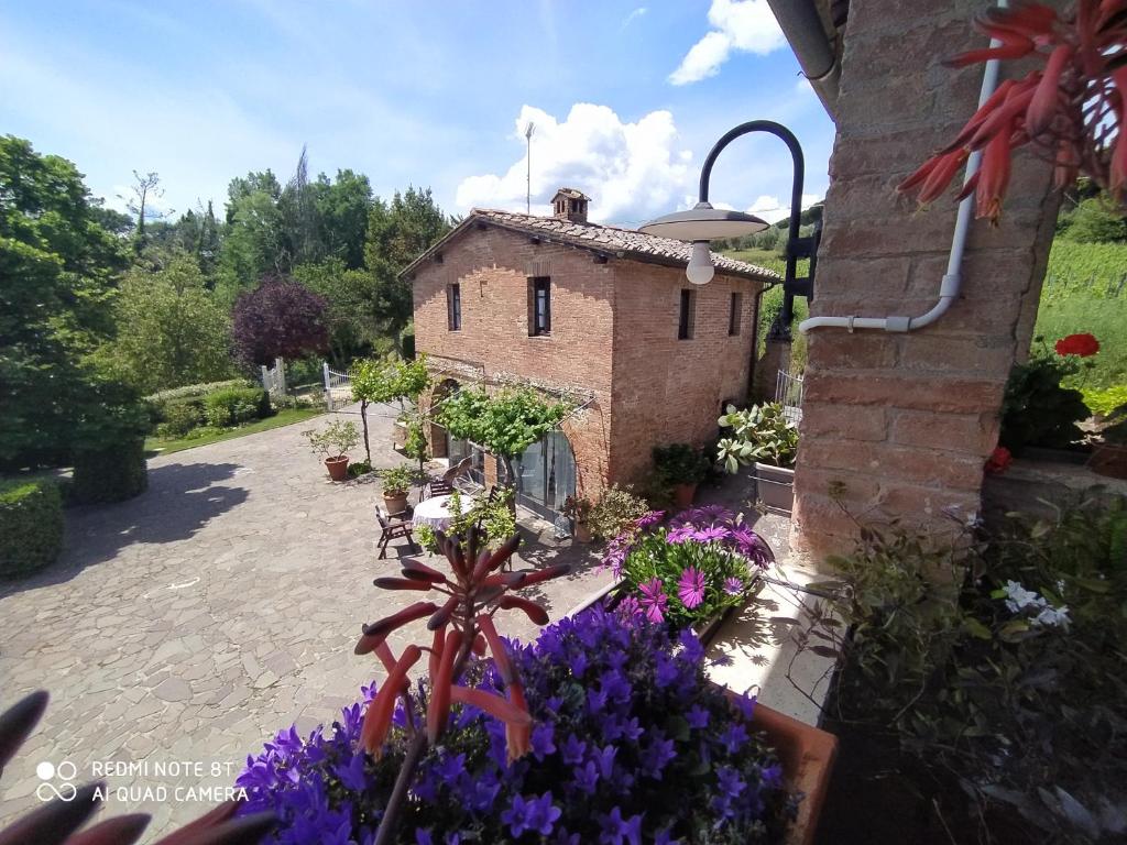 A garden outside Vignano40