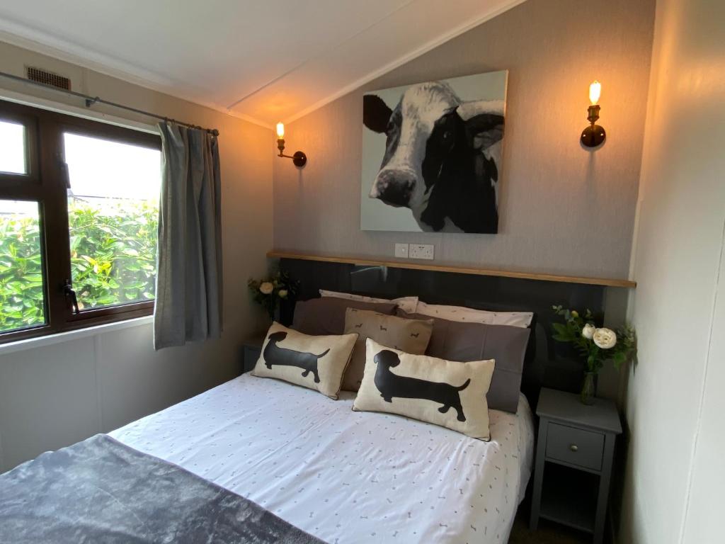 Rew Farm Country & Equestrian Accommodation - Sunrise Lodge - Holiday Home