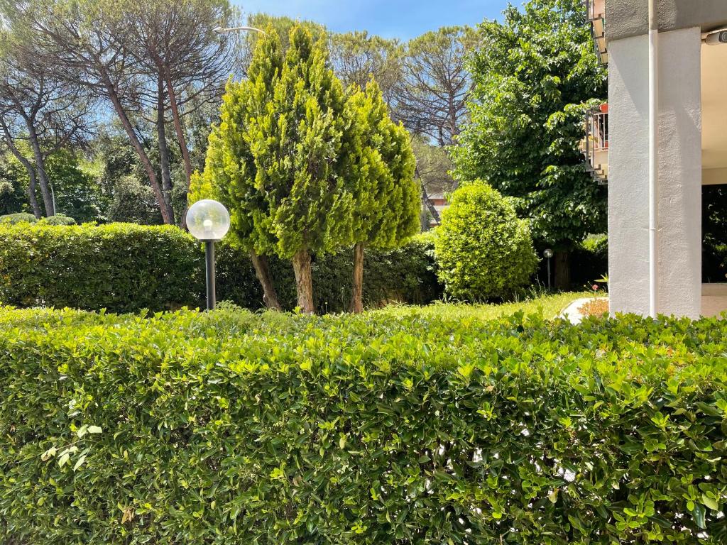 a hedge in front of a house with a street light at B&B "Feelgood" in Rome