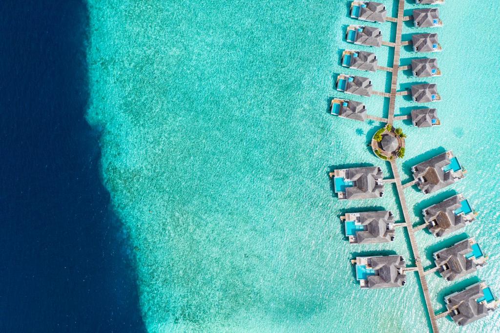 Finolhu, a Seaside Collection Resort - View 11