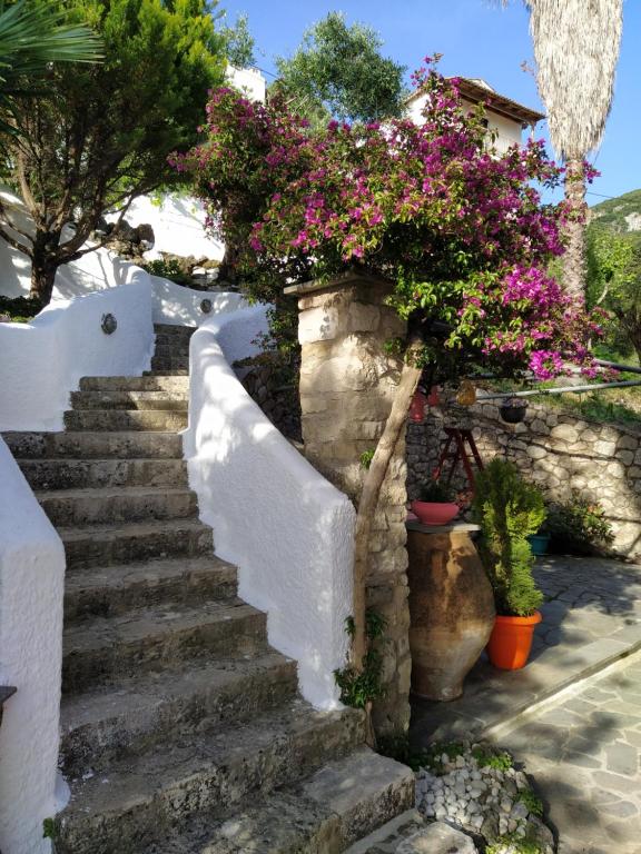 A garden outside Kontos Mansion