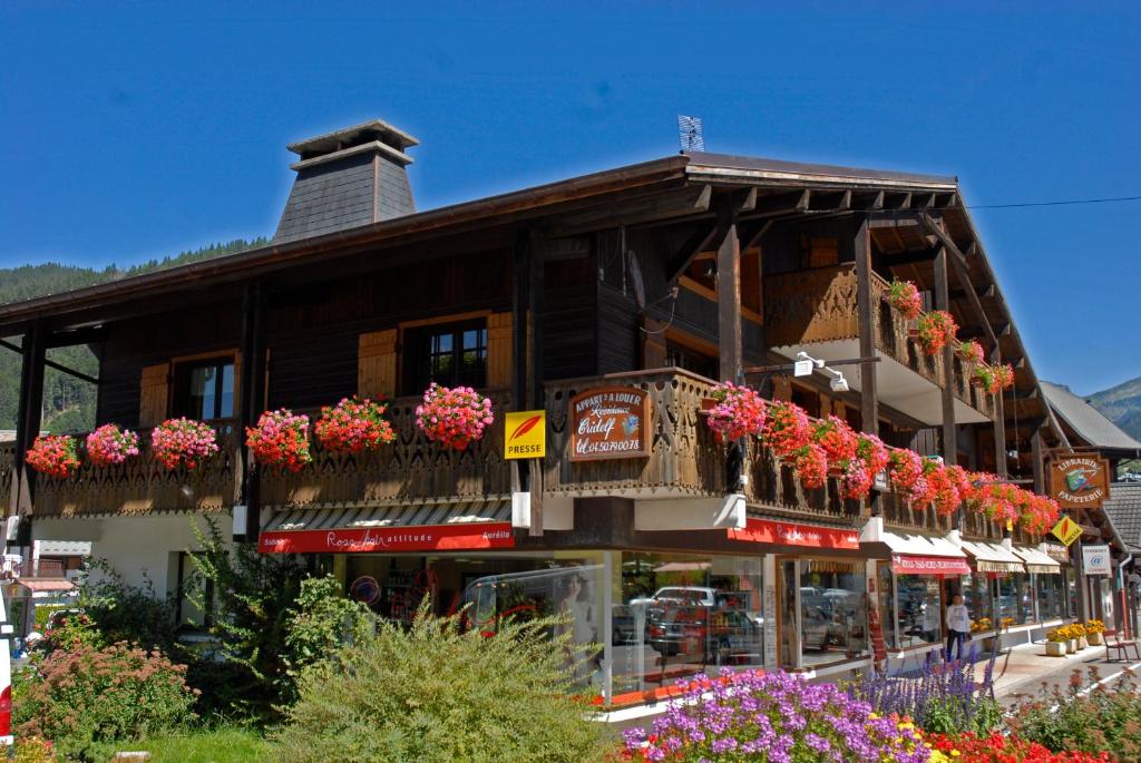 Gallery image of Résidence CRIDELF in Morzine