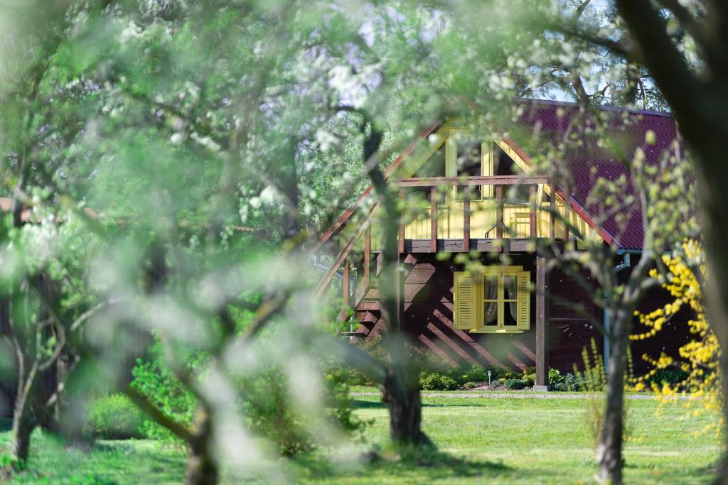 a house in the middle of a yard with trees at Kempings ĒRGĻI in Bernāti