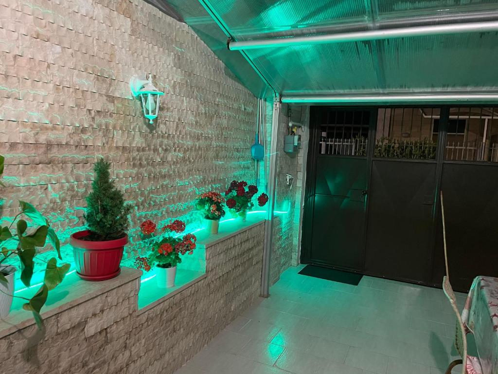 a room with plants on a brick wall with blue lights at Relax House in Bari