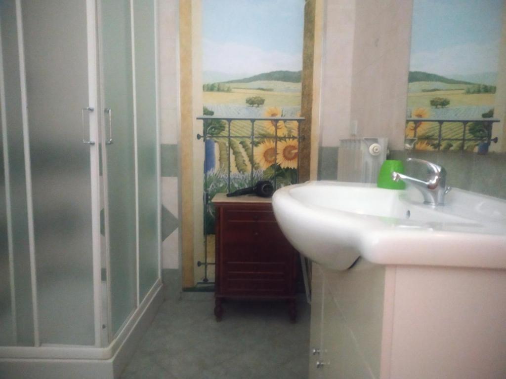 łazienka z umywalką i prysznicem w obiekcie B&B Iris w Asyżu