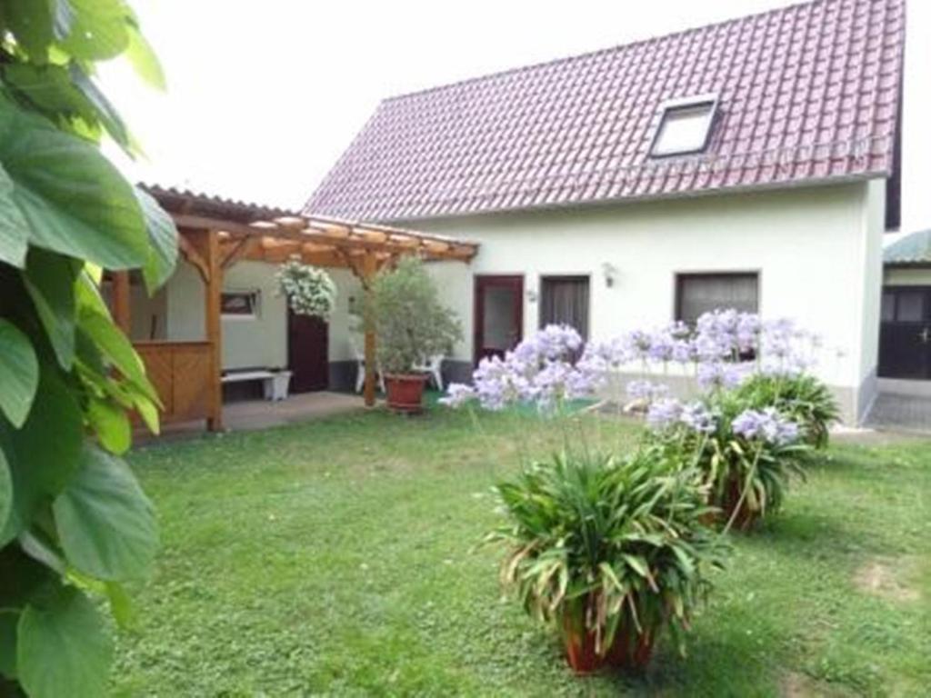 ein Haus mit einem Hof mit zwei Topfpflanzen in der Unterkunft Haus Feldmühle in Bad Frankenhausen