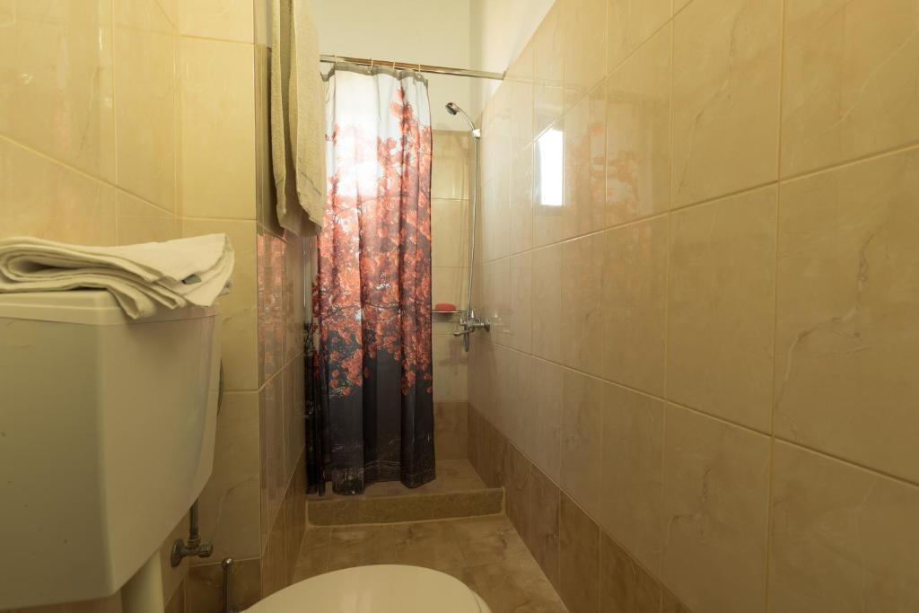 a bathroom with a toilet and a shower at Sunset Home Crete in Paránimfoi
