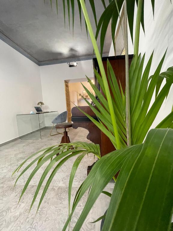 Casta Diva Luxury Apartments -Self check-in - 12