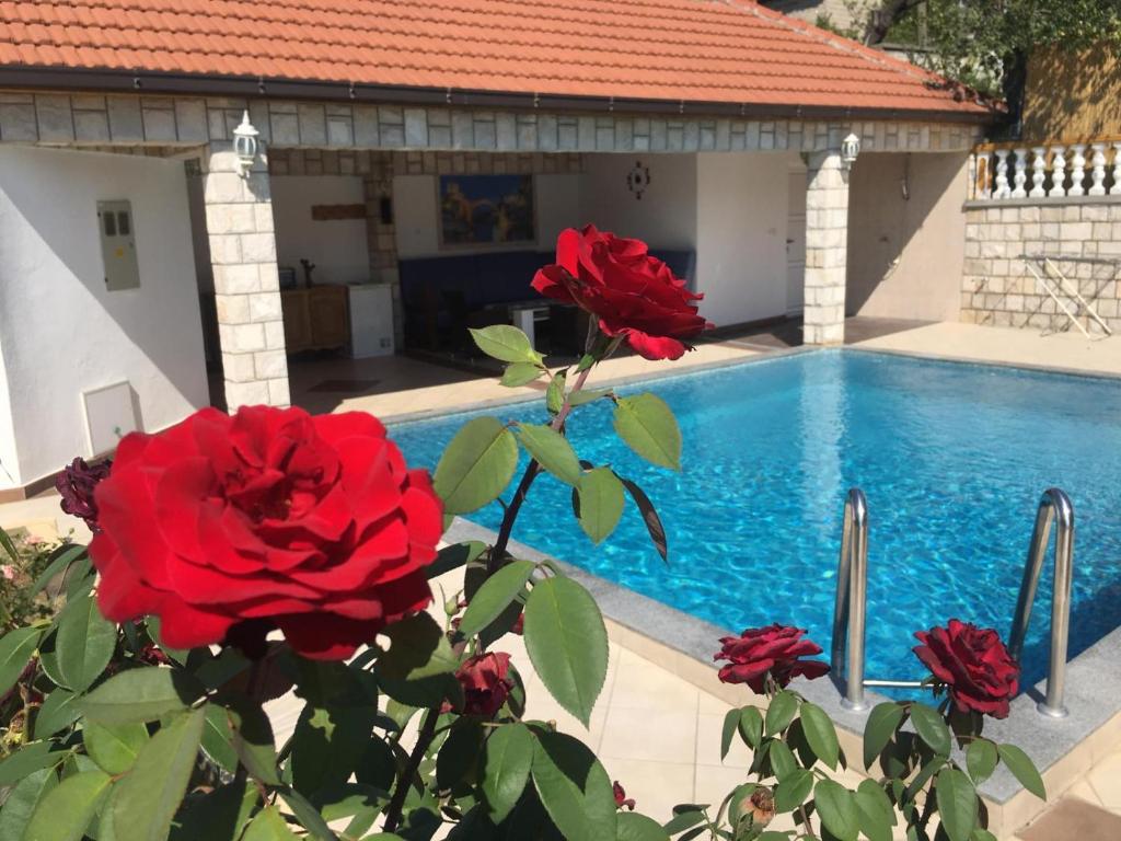 krzak z czerwonymi różami obok basenu w obiekcie Apartment Oaza w mieście Mostar