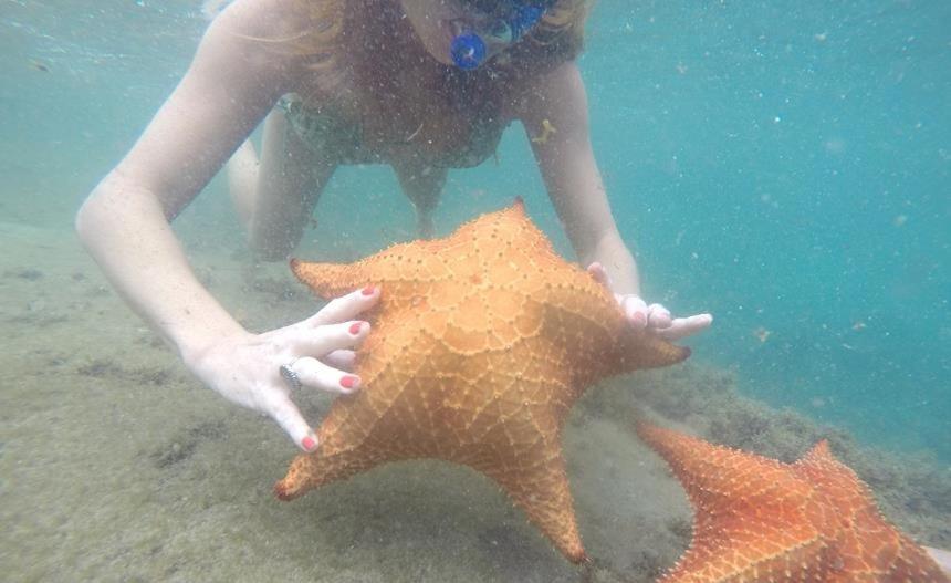 KITNET ACONCHEGANTE A 200M DA PRAIA