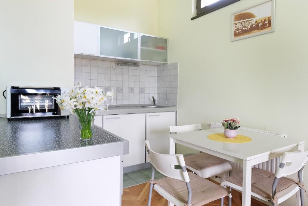 Köök või kööginurk majutusasutuses Apartments Bohemia