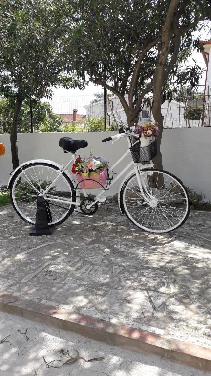 Berbasikal di atau sekitar Apartment Bella