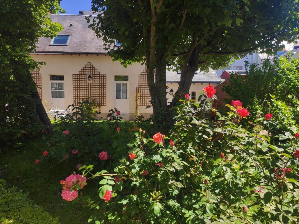 a house with a tree and flowers in front of it at Les Charmilles in Amboise