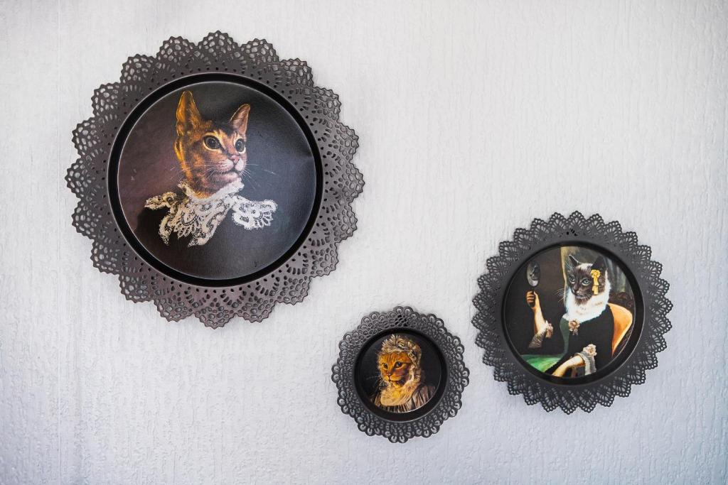 Fotografie z fotogalerie ubytování Drumfearne Guesthouse & Tearoom v destinaci Carradale