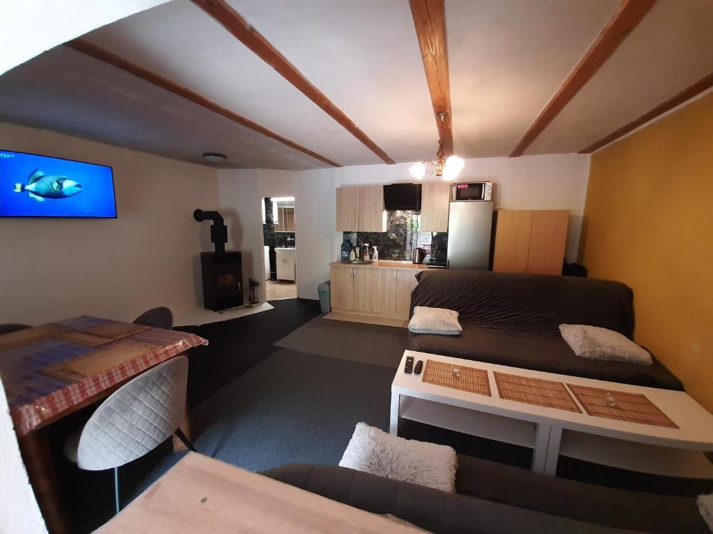 TV a/nebo společenská místnost v ubytování Apartmány Maksičky