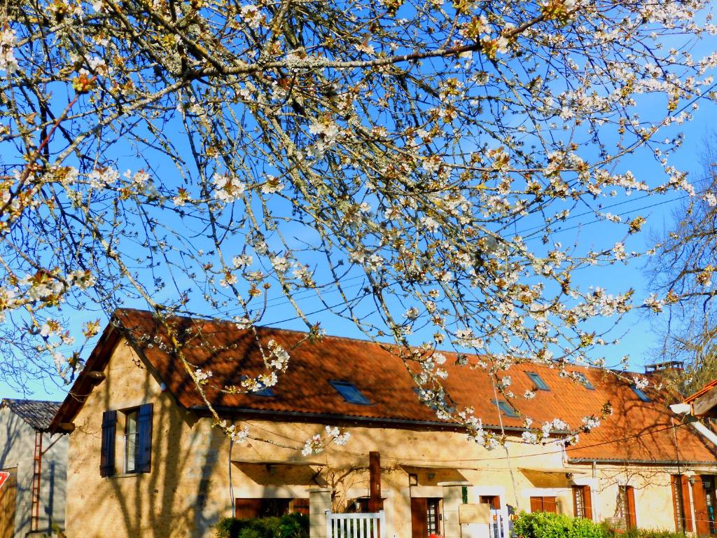 a tree with white flowers in front of a house at jacquada in Cendrieux