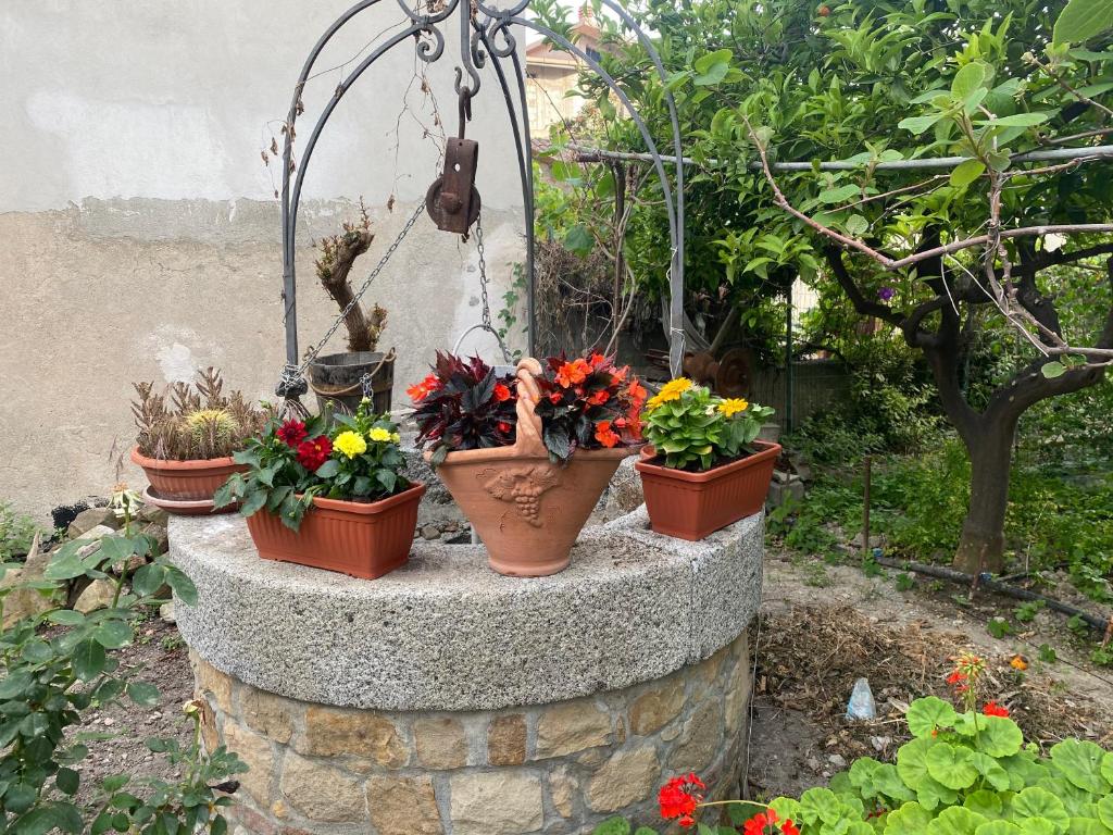 un grupo de plantas en macetas sentadas en una pared de piedra en La grecità e il mare, en Bova Marina