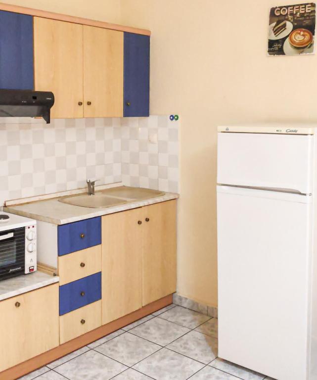 A kitchen or kitchenette at Jimmy's rooms nea potidea