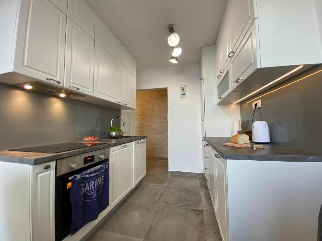 Kuchyň nebo kuchyňský kout v ubytování Blue View Apartment