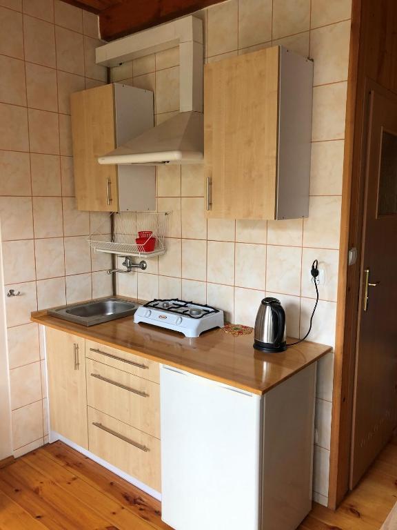 Kuchyň nebo kuchyňský kout v ubytování Apartamenty pod dębem