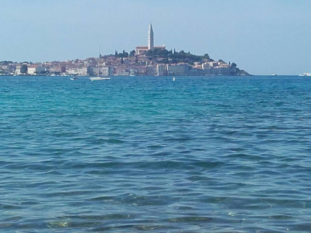 a large body of water with a lighthouse at Apartment Iva in Rovinj